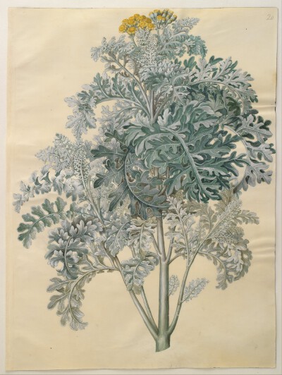 Johannes Simon Holtzbecher 作品