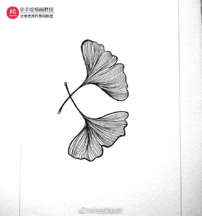 By 会画画的云 叶子