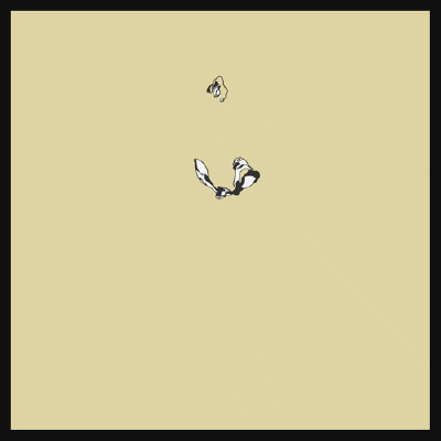 は蛋｜