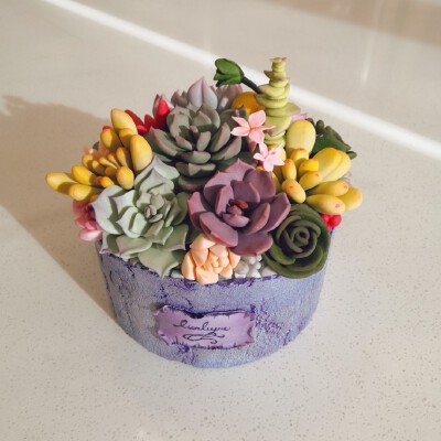
【手作】多肉植物