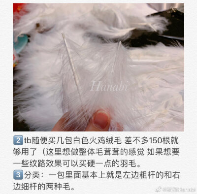 翅膀，来源见水印