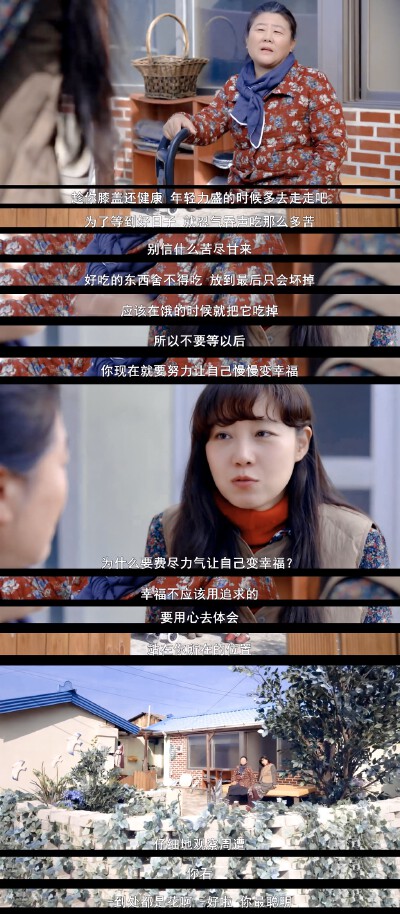 山茶花开时
