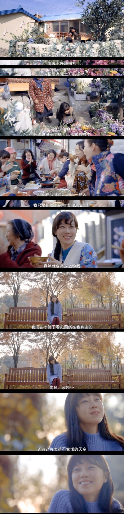 山茶花开时