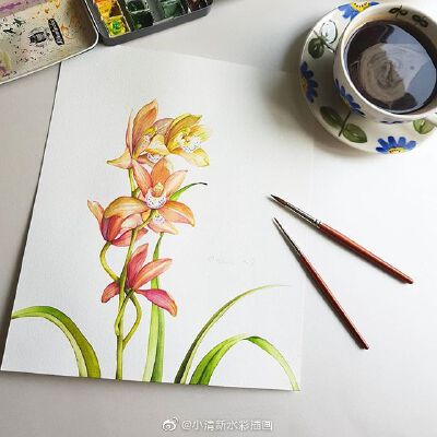 手绘花卉~ ins：nuii_art
