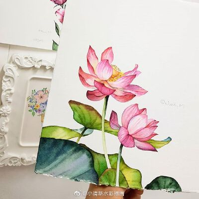 手绘花卉~[可爱]
ins：nuii_art