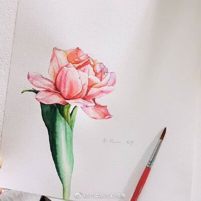 手绘花卉~[可爱]
ins：nuii_art