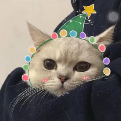 头像♡
