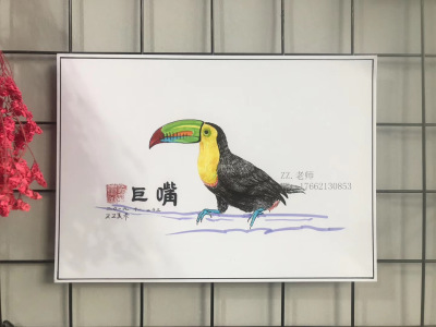 彩铅画
