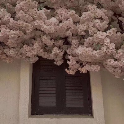 背景图