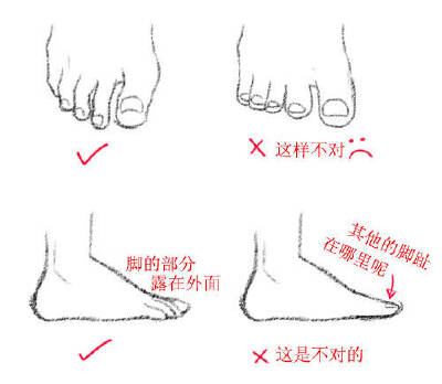 脚的画法