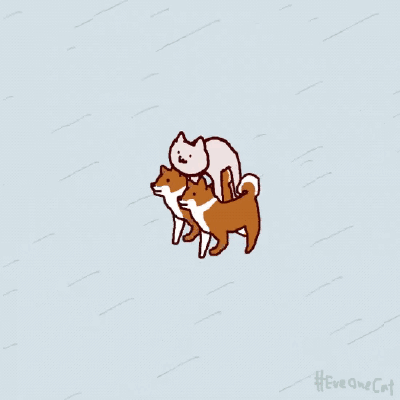 eveonecat