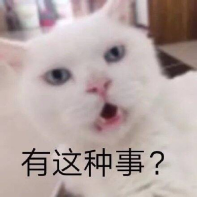 珊迪噢