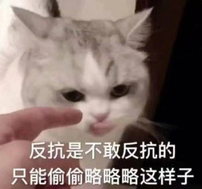 珊迪噢