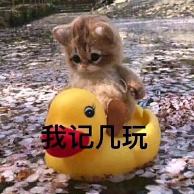 珊迪噢