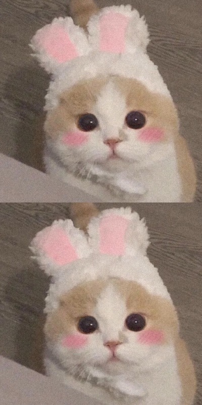 一眼就喜欢的壁纸˗ˏˋ♥︎︎ˎˊ˗