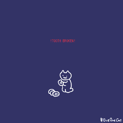 eve one cat
