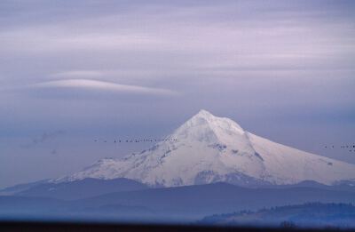 来自Unsplash