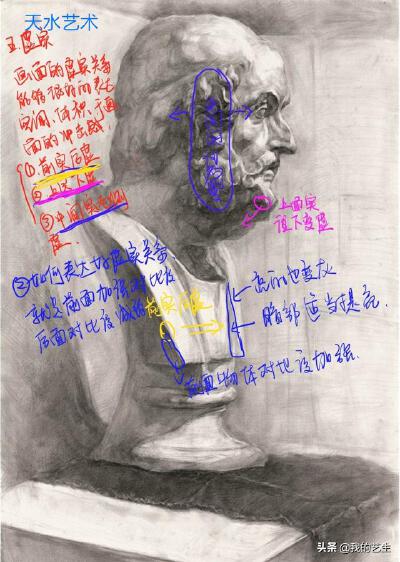 石膏像素描评讲