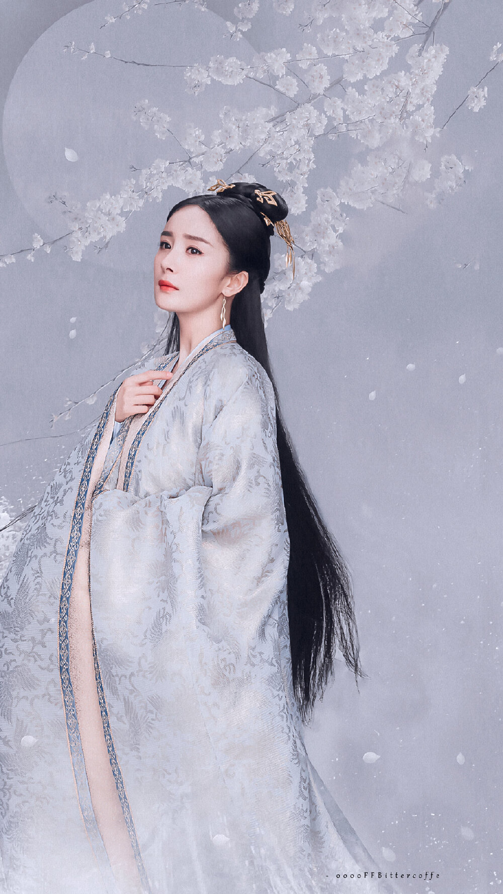 杨幂