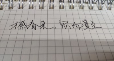 才感春来，忽而夏至。