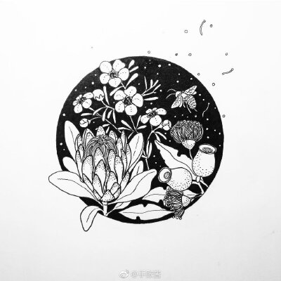 黑白装饰画