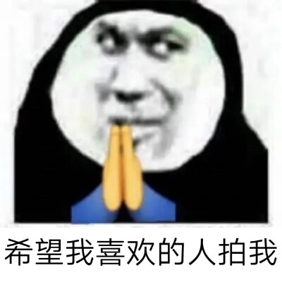 今日份表情包来了
拍一拍系列
(中午饭，吃了吗各位)