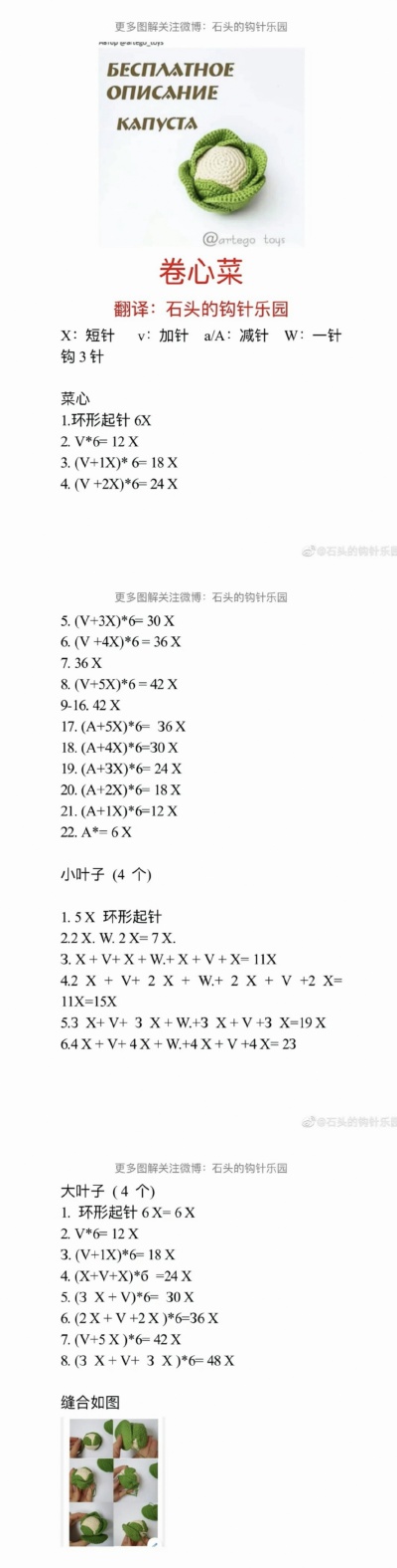 卷心菜