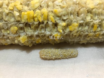 微缩食物@钱土豆儿