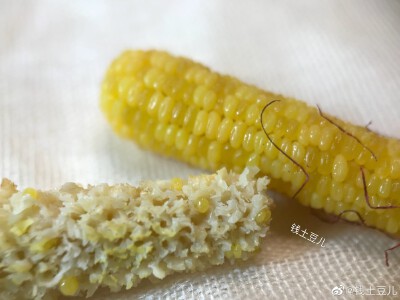 微缩食物@钱土豆儿