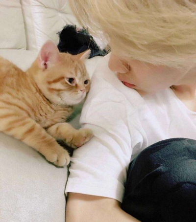 鹿晗