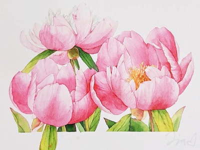 插画
