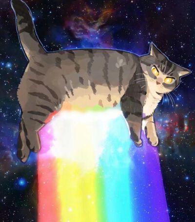 Ins：gentleeeeeeecat ​​​