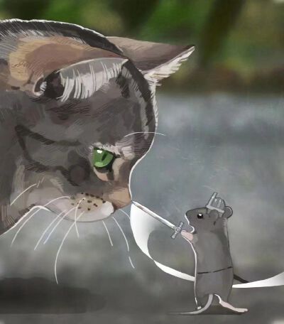 Ins：gentleeeeeeecat ​​​