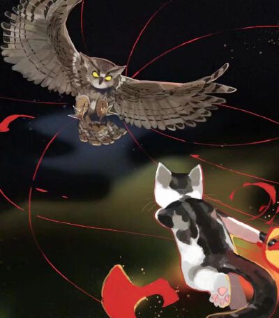Ins：gentleeeeeeecat ​​​