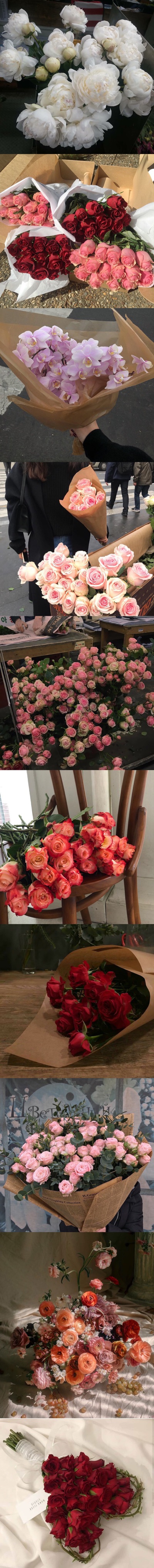 喜欢各种花