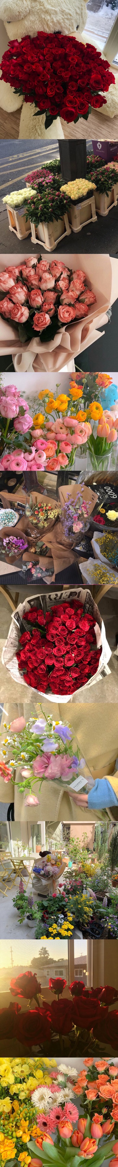 喜欢各种花