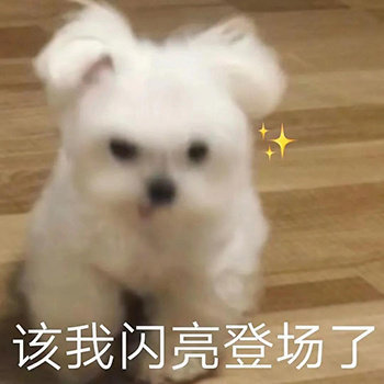 表情包更新