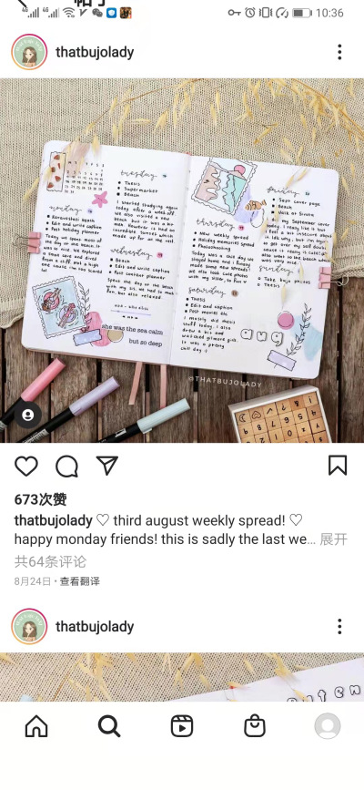ins bujo
