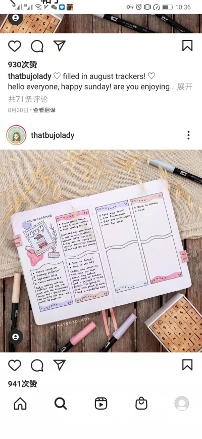 ins bujo